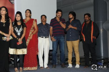 Cut Chesthe Movie Audio Launch